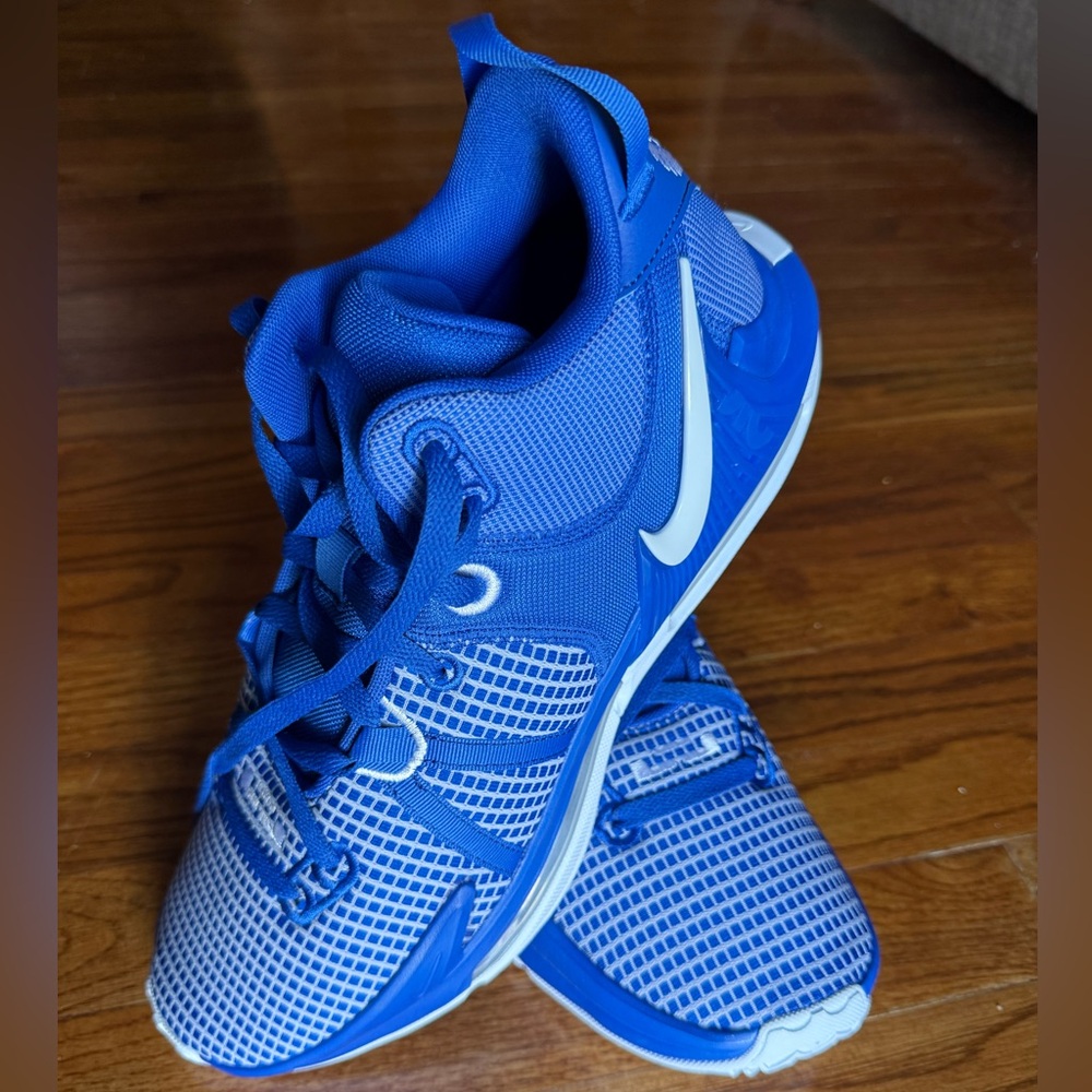 Nike Blue LeBron Basketball Shoes (NEW) Size 13